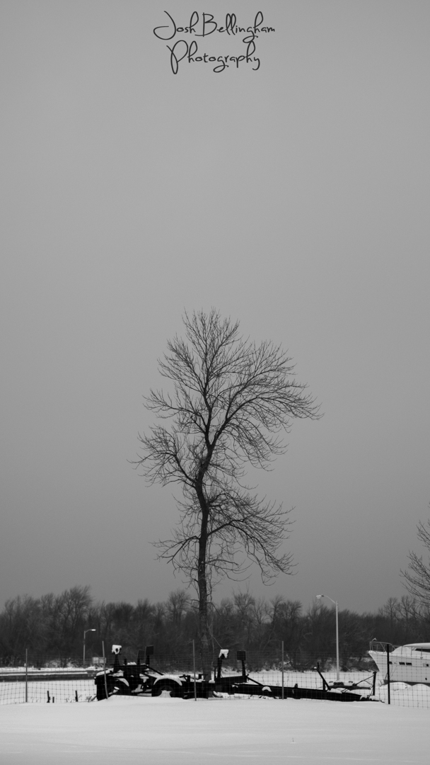 Photo by Josh Bellingham