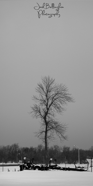 Photo by Josh Bellingham