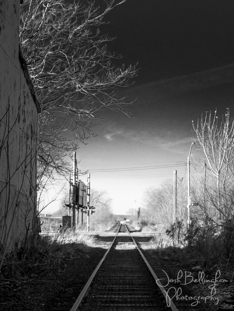 Photo by Josh Bellingham