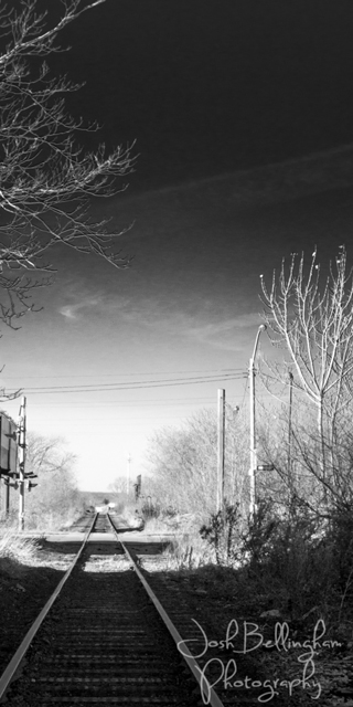 Photo by Josh Bellingham