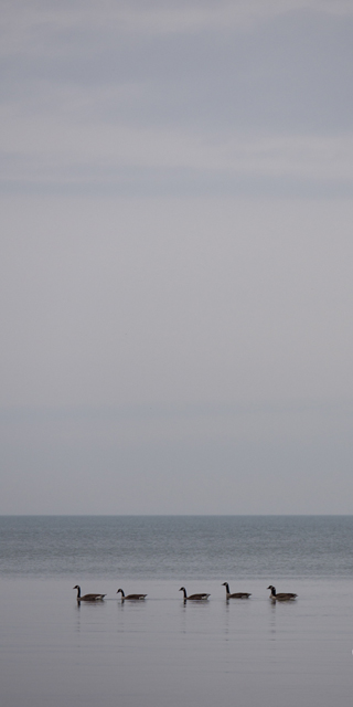 Photo by Josh Bellingham