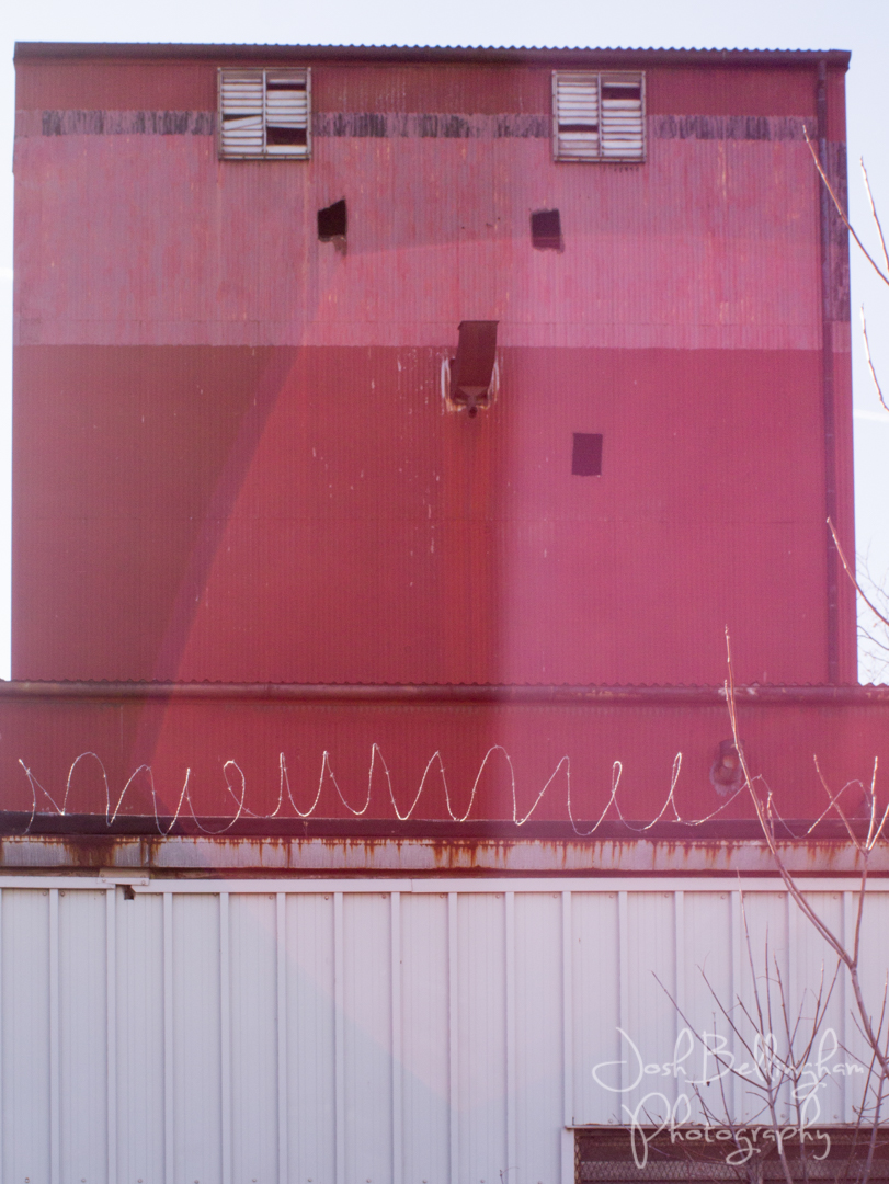 Photo by Josh Bellingham