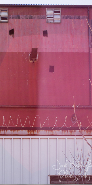 Photo by Josh Bellingham