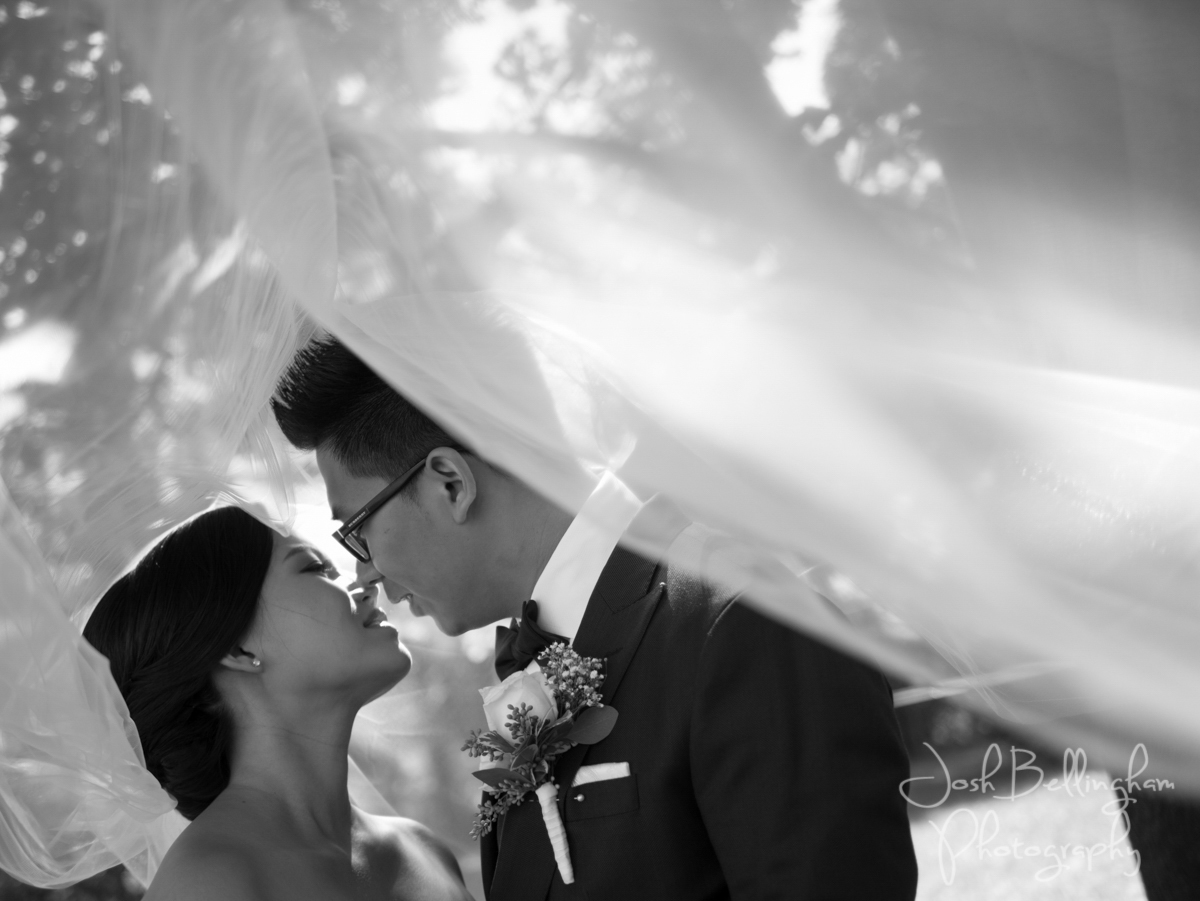 Photo by Josh Bellingham