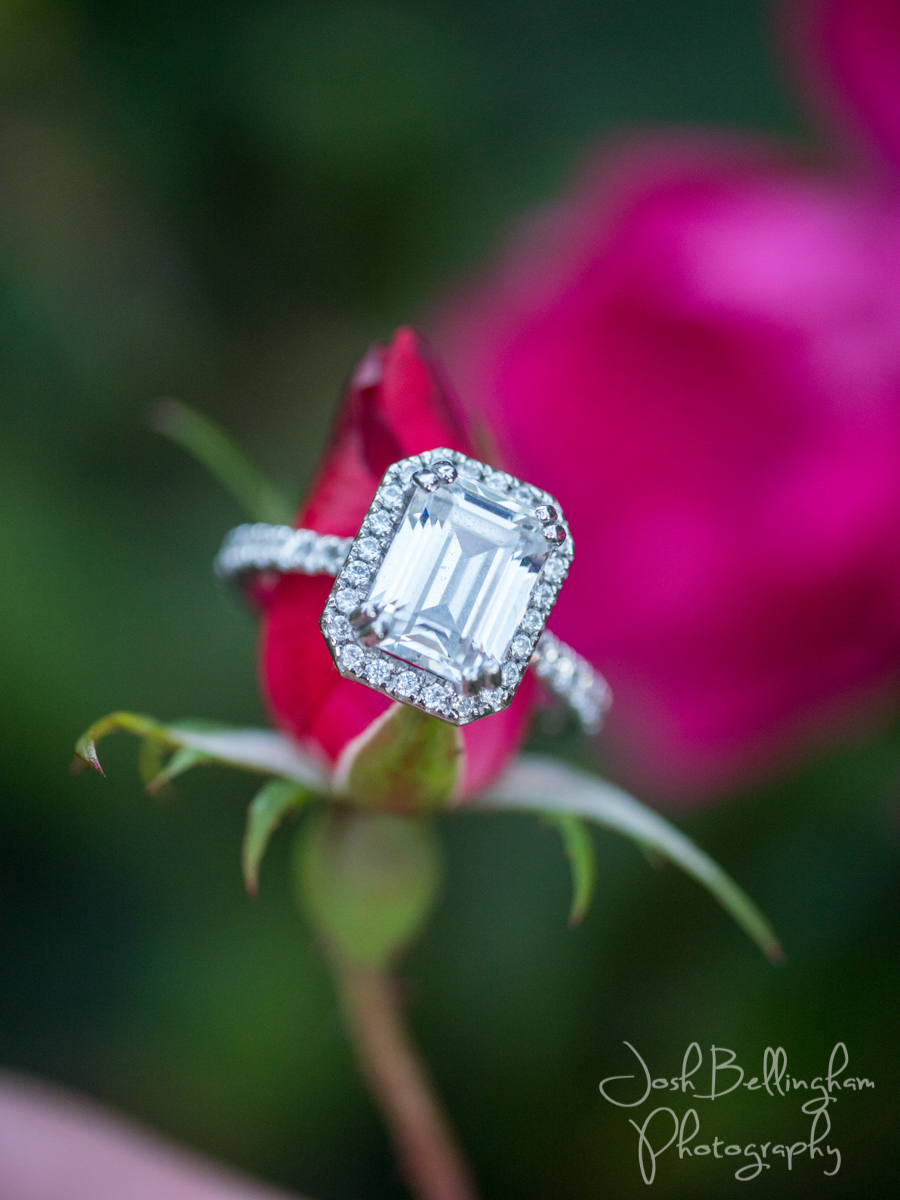 Photo by Josh Bellingham