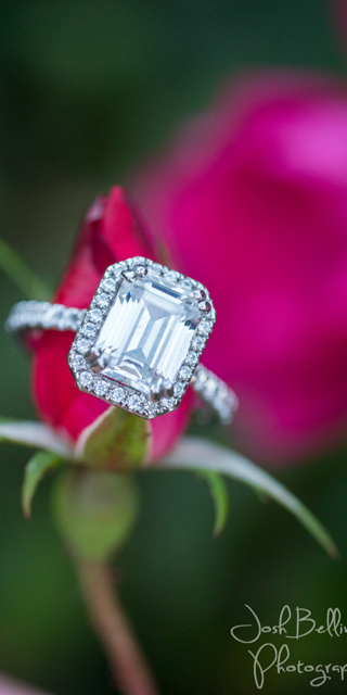 Photo by Josh Bellingham