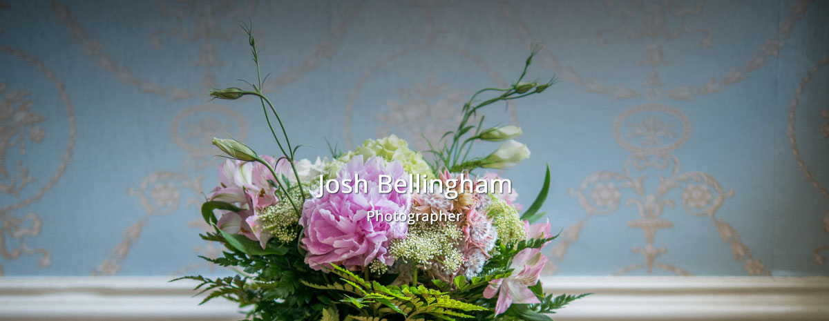 Josh Bellingham