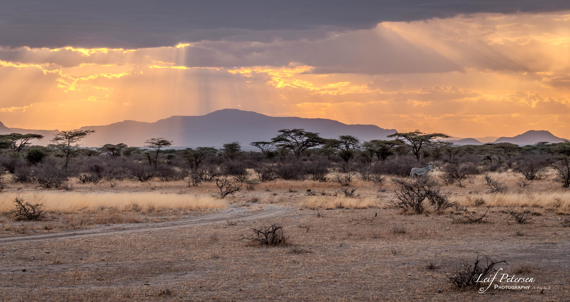 À propos d’un safari en Afrique avec le G9II