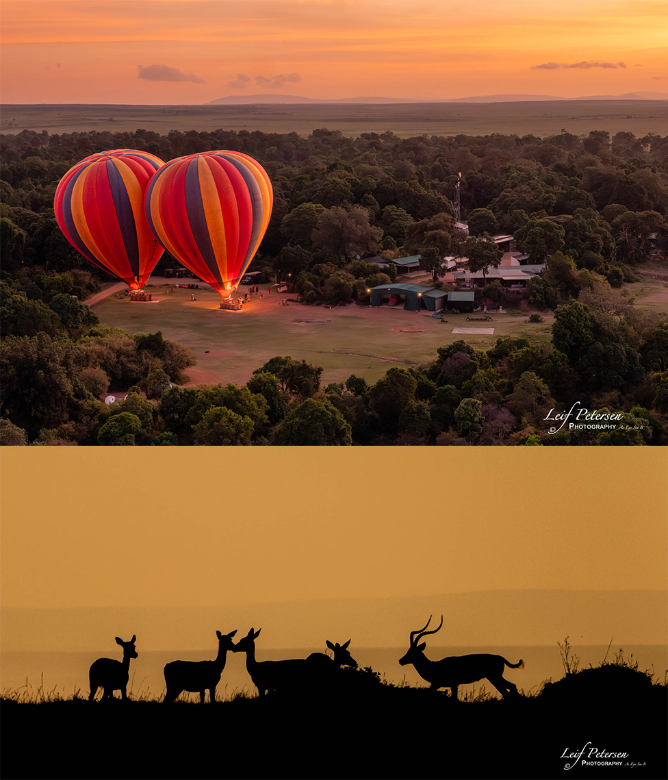 À propos d’un safari en Afrique avec le G9II