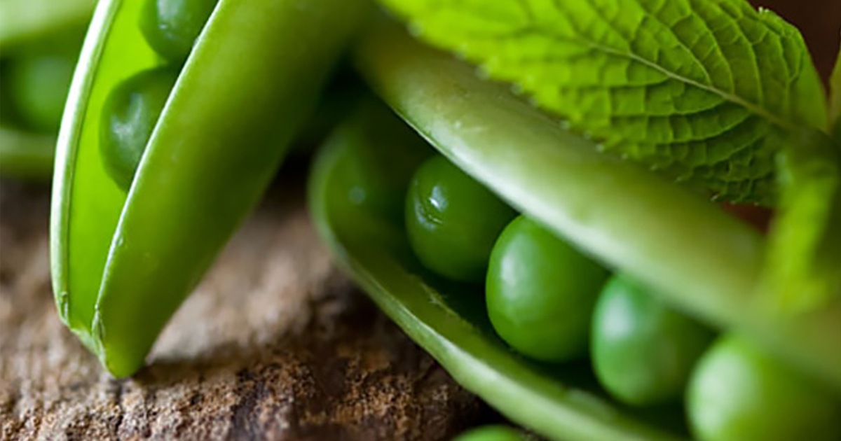 Minted Peas