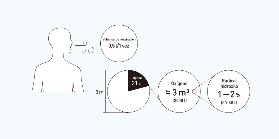5. Cuando este oxígeno entra en el cuerpo, un 1-2 % se convierte en radicales. Los radicales de hidroxilo son un tipo de radicales.