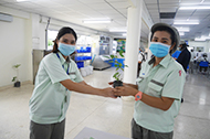 This photo shows employees holding a handed out seedling.