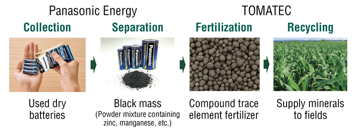 Diagram illustrating the dry battery recycling process jointly conducted by our company and TOMATEC, showing the separation of black mass—a mixed powder containing zinc and manganese—from used dry batteries, and its reuse as roasted trace element fertilizer for agricultural applications.
