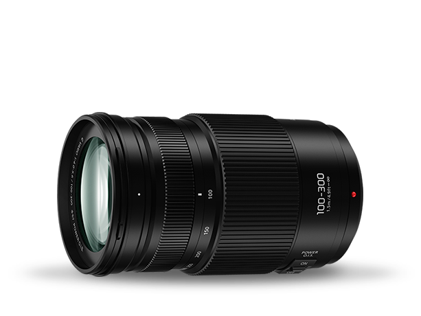 Φωτογραφία από Φακός LUMIX G H-FSA100300