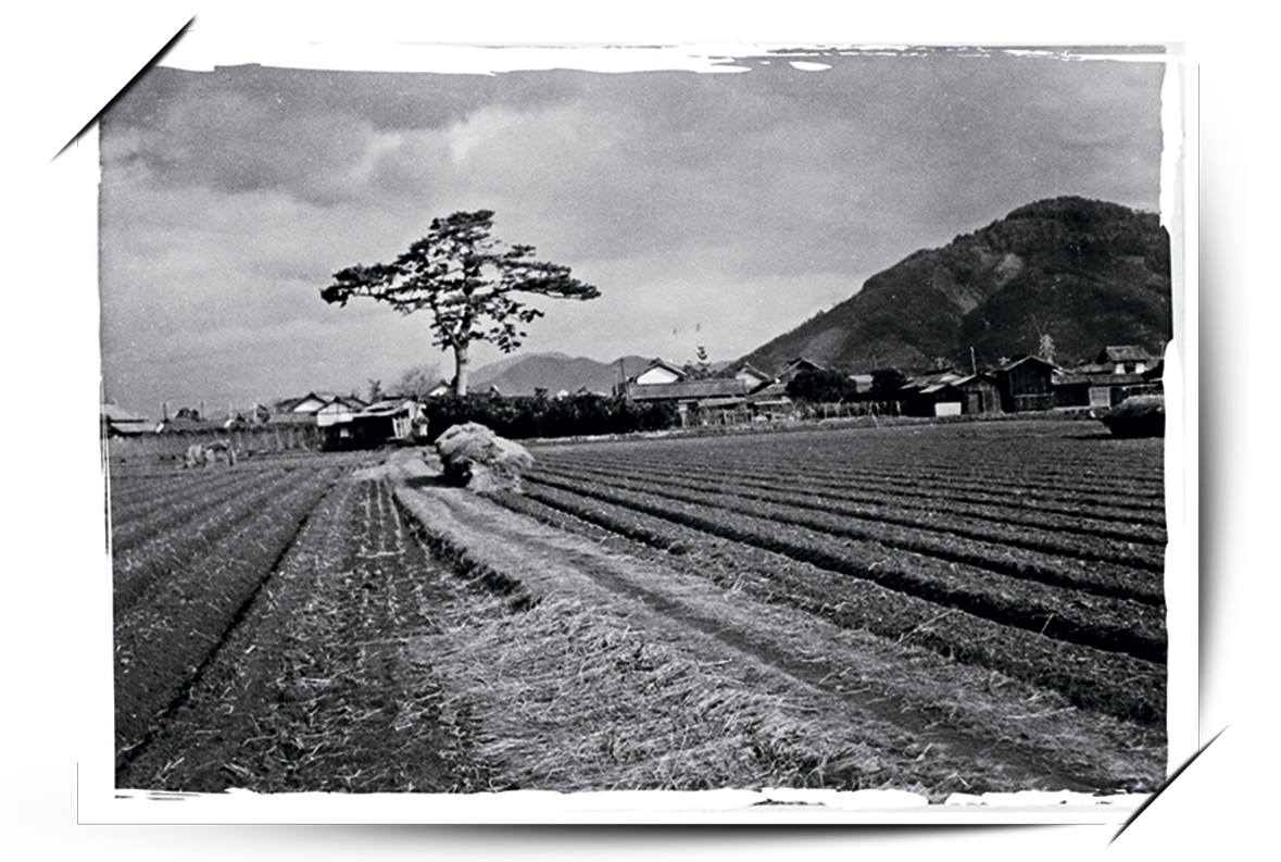 90 лет с начала производства батареек Panasonic