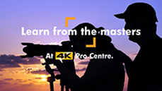 Learn from the masters