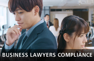 BUSINESS LAWYERS COMPLIANCE