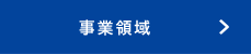事業領域