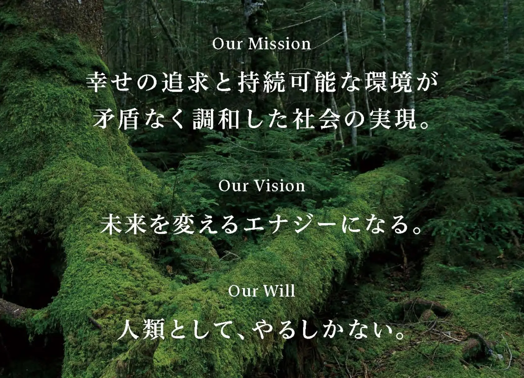 パナソニック エナジーのMission「幸せの追記と持続可能な環境が矛盾なく調和した社会の実現」、Vision「未来を変えるエナジーになる」、Will「人類としてやるしかない」