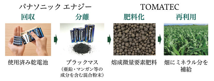 当社とTOMATECによる乾電池リサイクルプロセス図。使用済み乾電池からブラックマス(使用済み乾電池から分離した亜鉛やマンガンなどの成分を含む混合粉末）を分離し、焙成微量要素肥料として農地に再利用する流れを示す。