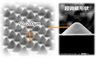 微小な導電性ゴムが、縦横に多数並ぶ画像