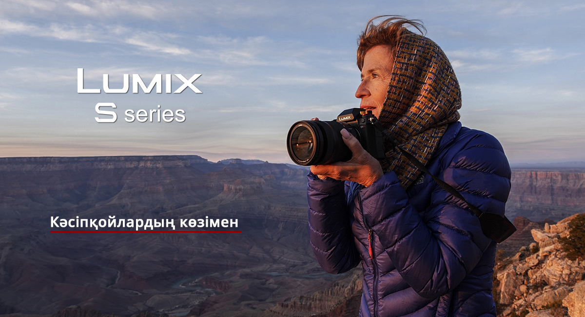 LUMIX S сериясы