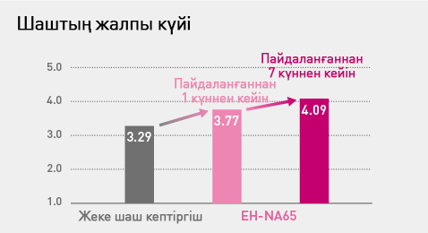Шаштың жалпы күйі