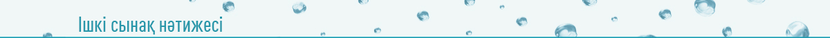 Ішкі сынақ нәтижесі