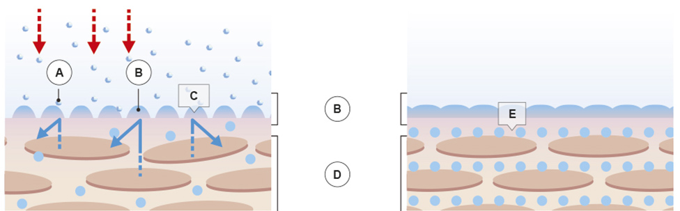 nanoe™ X. Aire de calidad de por vida