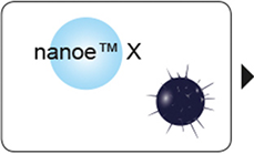 ¿Cómo te ayuda la tecnología nanoe™ X?