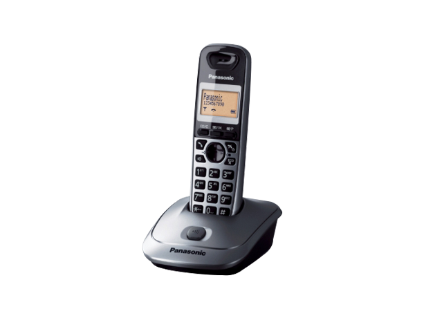 Fotografie cu KX-TG2511 Telefon DECT