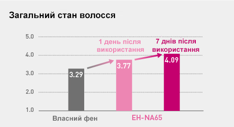 Загальний стан волосся