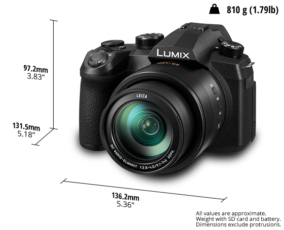 LUMIX Digital Camera DC-FZ10002