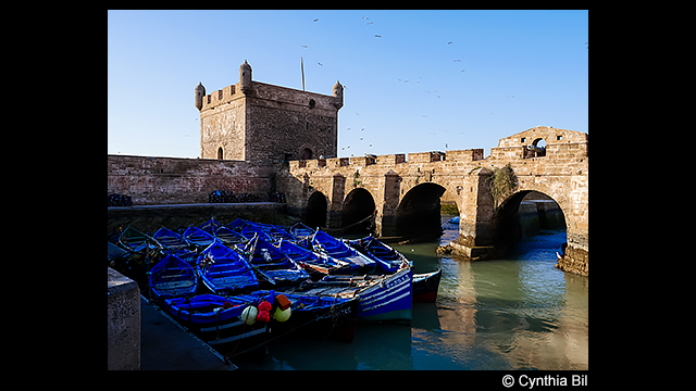 Get Inspired - LUMIX Compact System (Mirrorless) Camera DC-G90MGN-K with 12-60mm Lens