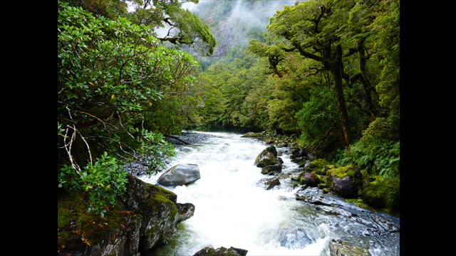 Get Inspired - Lumix Digital Camera: DMC-FT5