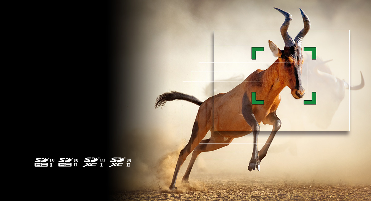 Ultra High Speed Focusing