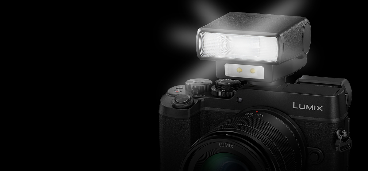 DMWFL200L Camera Accessories Panasonic Australia