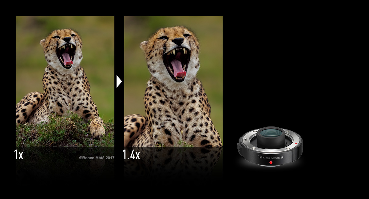 Capture Distant Subjects Up Close