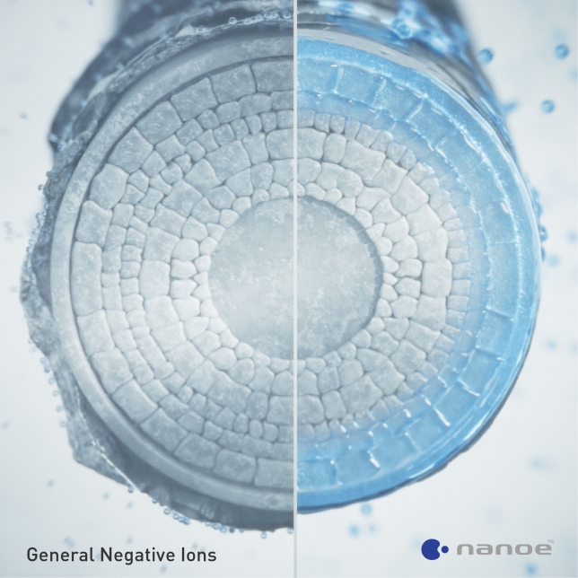 Discover the Secret of nanoe™