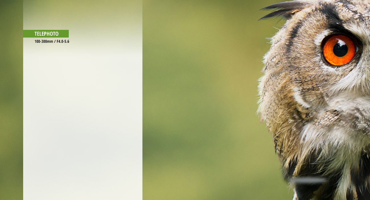 Capture Intense Close-Up Action