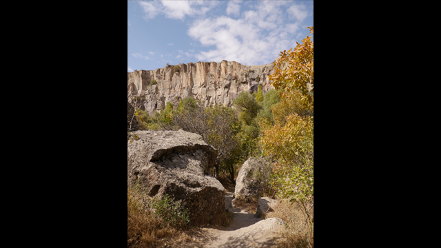 Get Inspired - Lumix G Lens: H-PS14042E