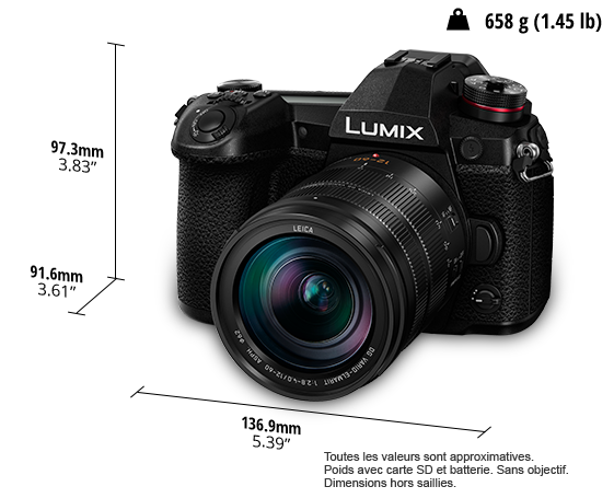 Appareil photo numérique hybride (DSLM) LUMIX DC-G9L