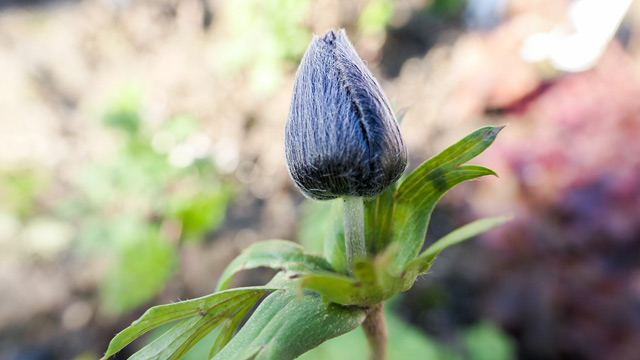 Soyez inspirés - Appareil numérique LUMIX DC-TZ200D