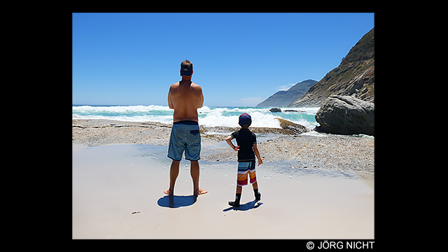 Soyez inspirés - Appareil numérique LUMIX DC-TZ95D