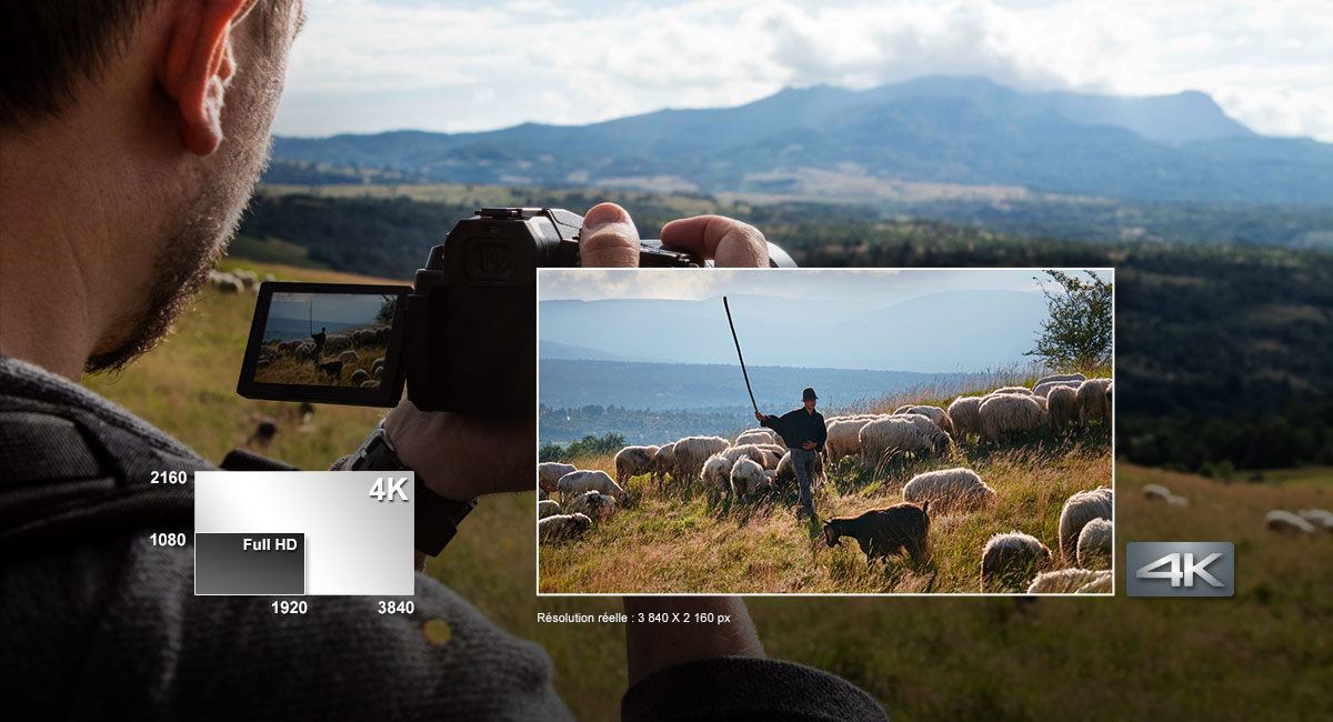 Vos aventures n'ont jamais paru aussi belles.