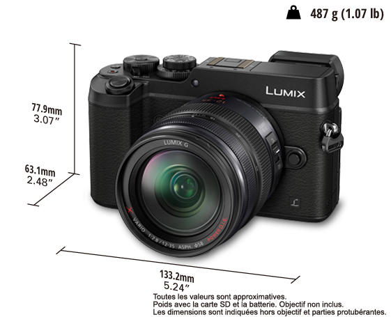 Appareil photo numérique LUMIX mono-objectif sans miroir DMC-GX8A