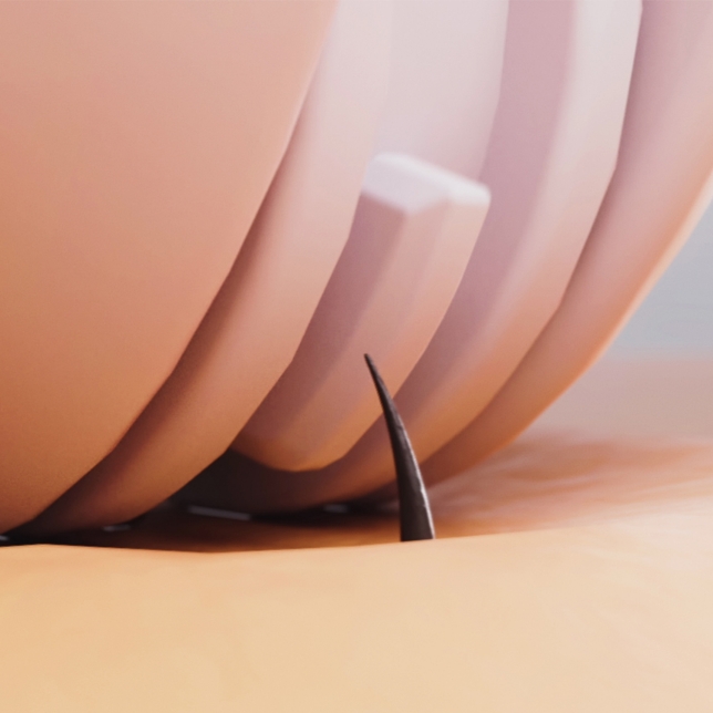 Image de l'épilateur pour les sourcils et le visage épilant des poils