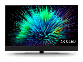 Photo de TV-48Z90BE8