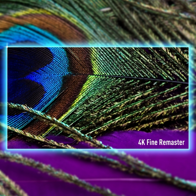 4K Fine Remaster for higher definition