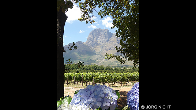 Laat u inspireren - LUMIX digitale camera DC-TZ95D